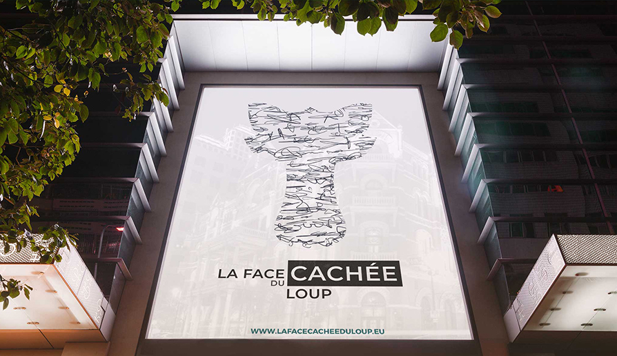 image projet aidez noah
