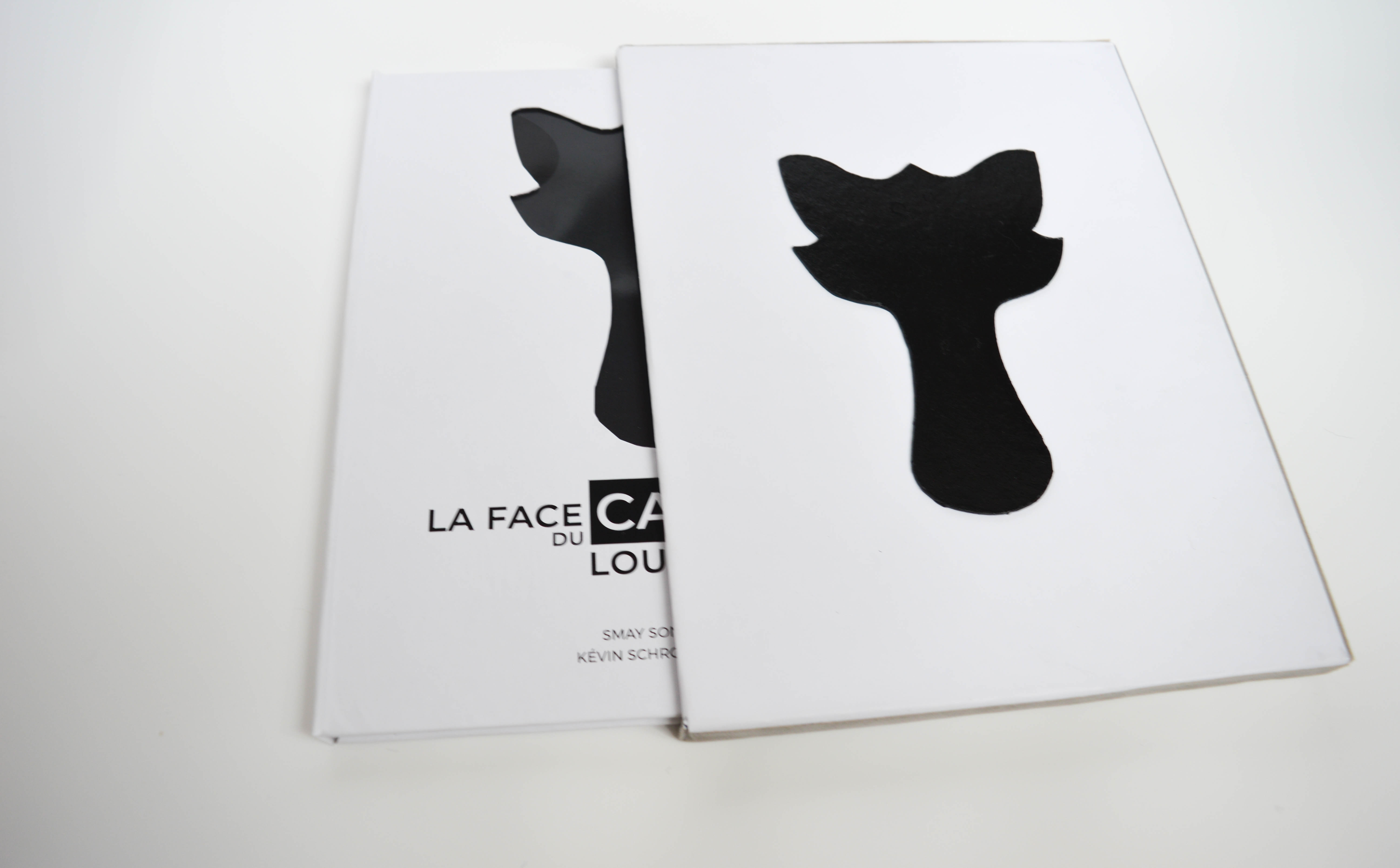 boite et livre la face cachée du loup